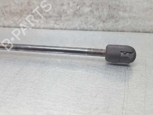 Tailgate lift support LAND ROVER FREELANDER I (L314)  | BP13985570C138 