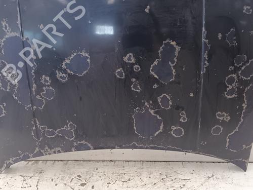 Hood VW GOLF IV (1J1) 1.6 | BP21535068C1 