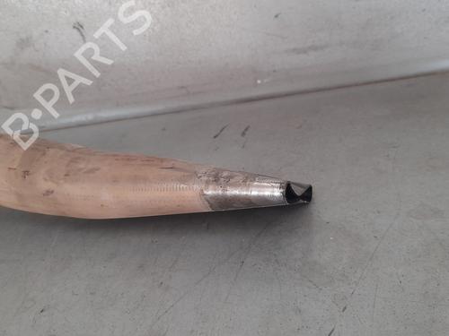 Catalyst SEAT TOLEDO III (5P2)  | BP12779503M10 