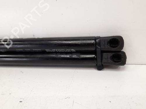 Tailgate lift support TATA INDICA 1.4 i | BP13978992C138