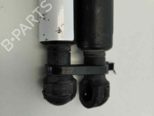 Hood lift support BMW 3 (E46) 320 d | BP13977850C139 
