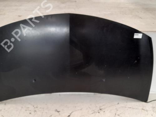 Used Hood RENAULT CLIO III (BR0/1, CR0/1) 1.5 dCi (BR17, CR17) (86 hp) 12768017
