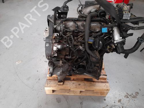 Engine NISSAN PRIMERA (P12) 1.9 dCi | BP12776925M1 