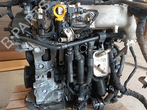 Motor VW CADDY V MPV (SBB, SBJ)  | BP29718663M1 