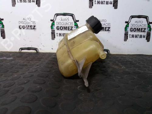 Expansion tank RENAULT CLIO III (BR0/1, CR0/1) 1.4 16V | BP12693114C120 