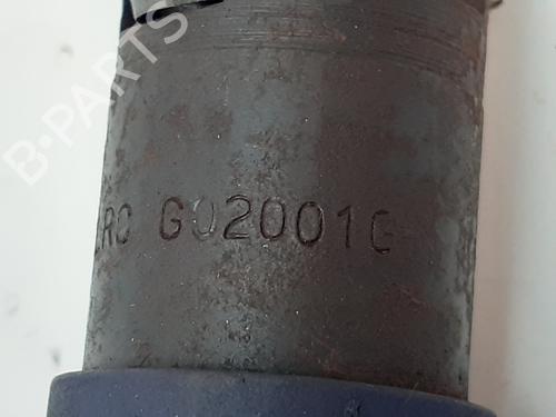 Injector TATA SUMO  | BP12855148M100 