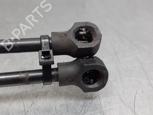 Tailgate lift support RENAULT CLIO IV (BH_)  | BP13976061C138 