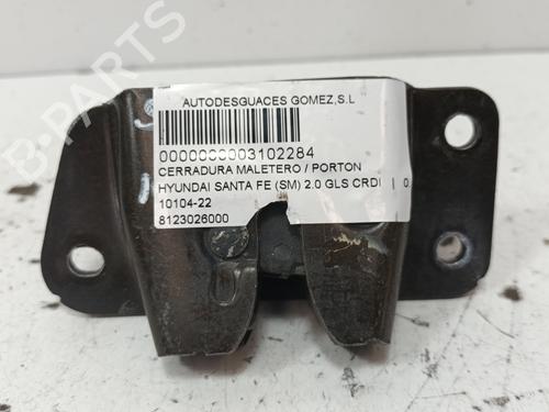 Tailgate lock HYUNDAI SANTA FÉ I (SM) 2.0 CRDi | BP16036429C101 