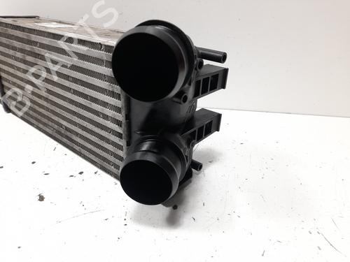Intercooler CITROËN C4 II (NC_)  | BP16081202M30 