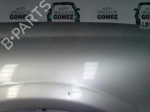 Right front fenders NISSAN ALMERA II Hatchback (N16)  | BP12931385C42