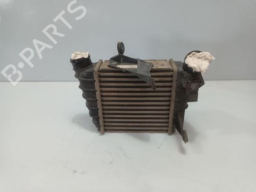 Intercooler SEAT IBIZA III (6L1) [2002-2009]  30709658