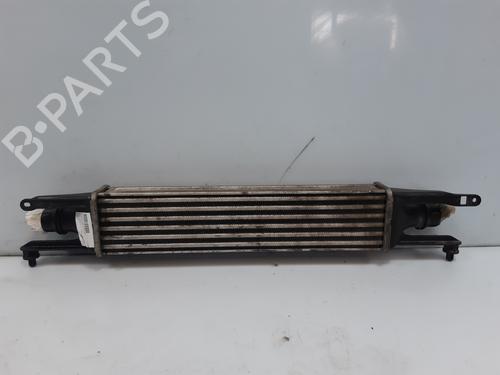 Intercooler Intercooler 38410800 38410800