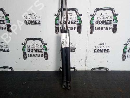 Used Tailgate lift support RENAULT CLIO II (BB_, CB_) 1.9 D (B/CB0E, BB0J) (64 hp) 32031593