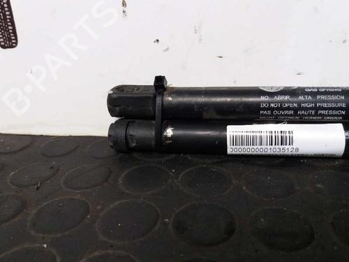 Tailgate lift support LANCIA PHEDRA (179_) 2.0 D Multijet (179.AXL1B, 179.BXL1B) | BP13966739C138 