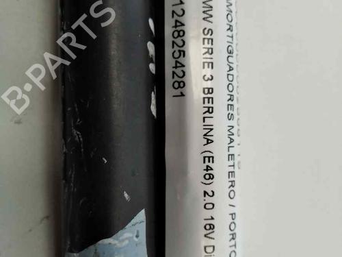 Tailgate lift support BMW 3 (E46) 320 d | BP13977870C138 