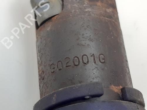 Injector TATA SUMO  | BP12855149M100 