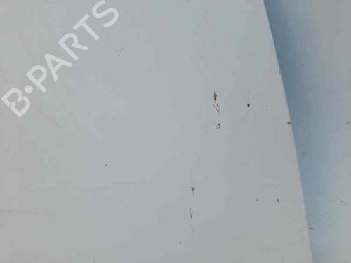 Hood FORD TRANSIT Van (FA_ _) 2.0 TDCi | BP12688912C1 