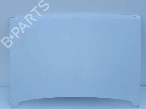 Used Hood RENAULT MEGANE I (BA0/1_) [1995-2004]  12721637