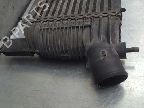 Intercooler NISSAN PATHFINDER III (R51) 2.5 dCi 4WD | BP12739842M30 