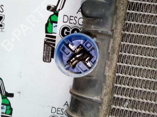Water radiator VOLVO 440 (445) 1.9 Turbo-Diesel | BP12808902M31 