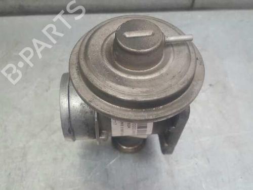 Egr BMW 5 (E39) 530 d | BP12756604M69 