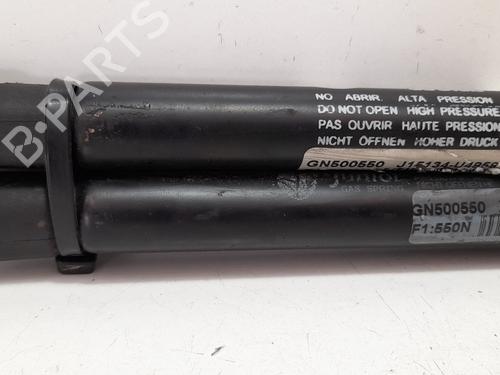 Tailgate lift support NISSAN ALMERA TINO (V10) 2.2 dCi | BP13982953C138 