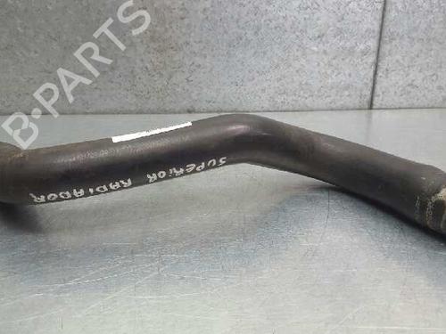 Pipe RENAULT MEGANE I Coach (DA0/1_) 1.6 16V (DA0B, DA04, DA11) | BP13971031M125 