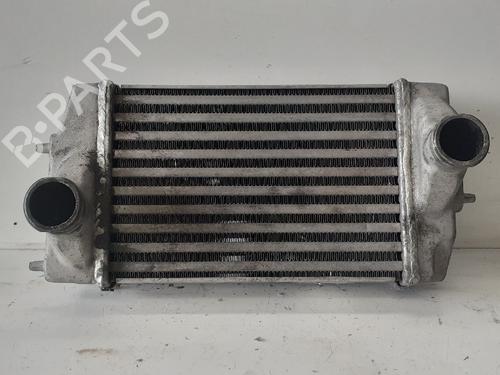 Used Intercooler CHRYSLER VOYAGER / GRAND VOYAGER III (GS_, NS_) 2.5 TD (116 hp) 12700249