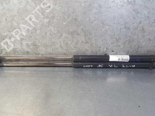 Used Tailgate lift support RENAULT 19 I (B/C53_) [1988-1994]  13986863