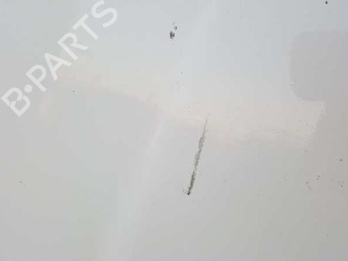 Hood TATA SAFARI (42_FD) 2.0 TDi | BP12905265C1