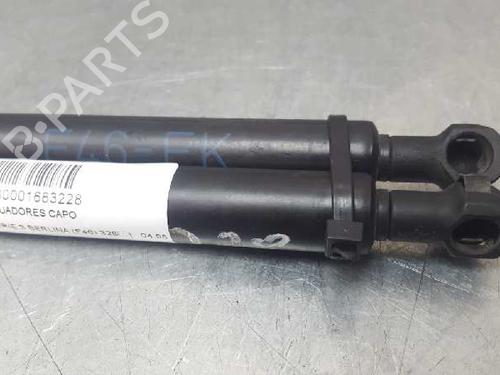 Hood lift support BMW 3 (E46) 328 i | BP13971382C139