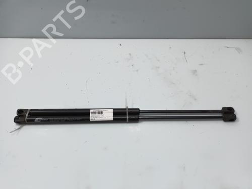Used Hood lift support VW TOUAREG (7LA, 7L6, 7L7) 5.0 V10 TDI (313 hp) 18486465