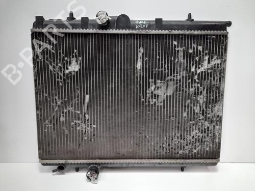 Køler PEUGEOT 206 Hatchback (2A/C) 1.9 D (69 hp) 12789121