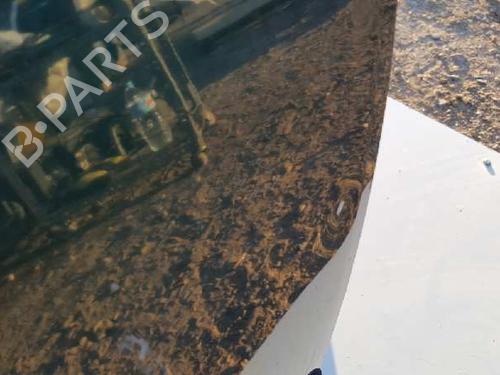 Left front door HYUNDAI GETZ (TB) 1.3 i | BP12699879C2 
