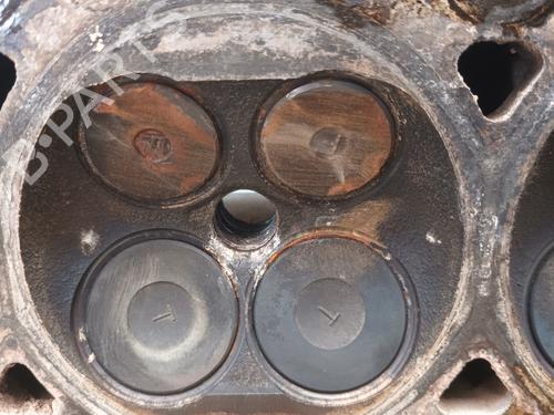 Cylinder head FORD FOCUS II (DA_, HCP, DP)  | BP19934988M5 