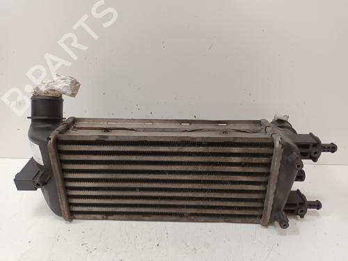 Ladeluftkühler für FIAT 500 (312_) 1.3 D Multijet (312AXB1A) (75 hp) 17945852
