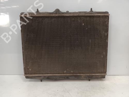 Water radiator PEUGEOT 307 (3A/C)  | BP29161235M31 