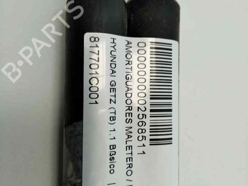 Tailgate lift support HYUNDAI GETZ (TB) 1.1 | BP13978121C138 