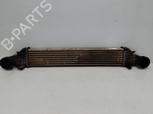 Intercooler Intercooler MERCEDES-BENZ E-CLASS (W211) [2002-2009] 34631361 34631361