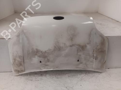 Used Hood FORD TRANSIT CONNECT (P65_, P70_, P80_) 1.8 TDCi (90 hp) 18354052