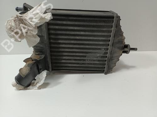 Intercooler FIAT PUNTO (188_) 1.9 JTD 80 (188.237, .257, .337, .357) | BP16181021M30 