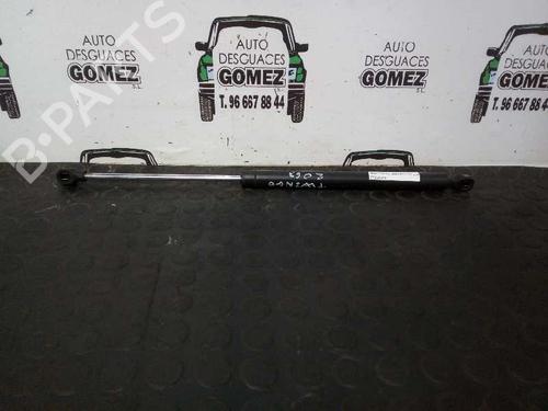 Used Tailgate lift support RENAULT TWINGO I (C06_) 1.2 (C063, C064) (55 hp) 13986349