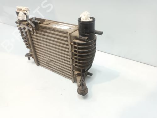 Intercooler NISSAN NV200 / EVALIA Bus | BP31920459M30