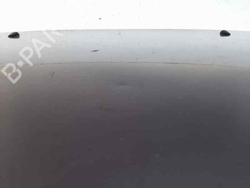 Hood FORD FIESTA IV (JA_, JB_) 1.25 i 16V | BP12719387C1 
