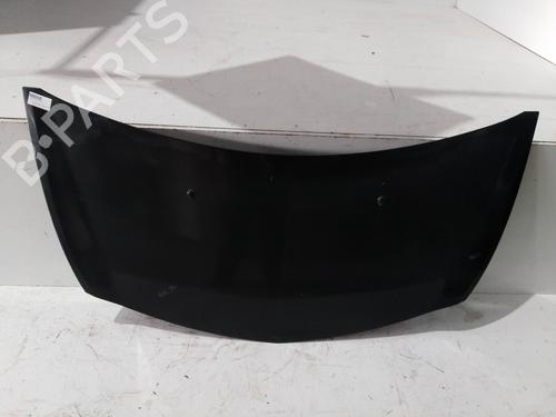 Used Hood RENAULT CLIO III (BR0/1, CR0/1) 1.4 16V (98 hp) 12719288