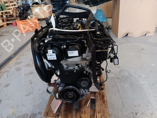 Used Engine FORD KUGA III (DFK) [2019-2025]  31041820