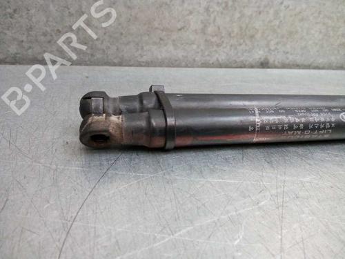 Hood lift support KIA MAGENTIS I (GD, MS) 2.0 | BP13986720C139 