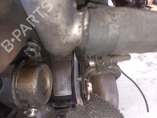 Engine FIAT BRAVA (182_)  | BP19032196M1 