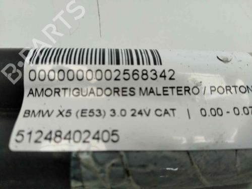 Tailgate lift support BMW X5 (E53) 3.0 i | BP13977997C138 