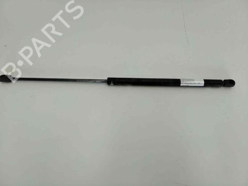 Used Hood lift support SEAT TOLEDO II (1M2) 1.6 16V (105 hp) 13978068